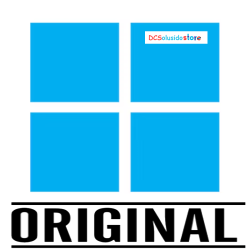 Windows 10 Pro